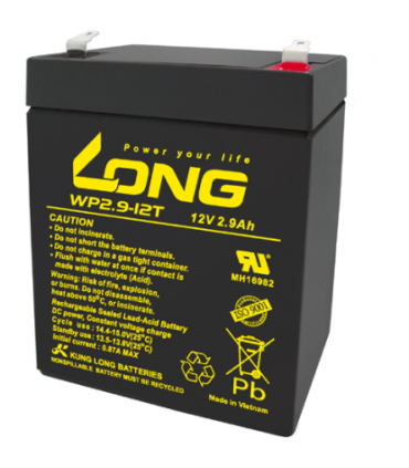 Batería 12 V 2.9 Ah especial para gruas de traslado / geriátricas